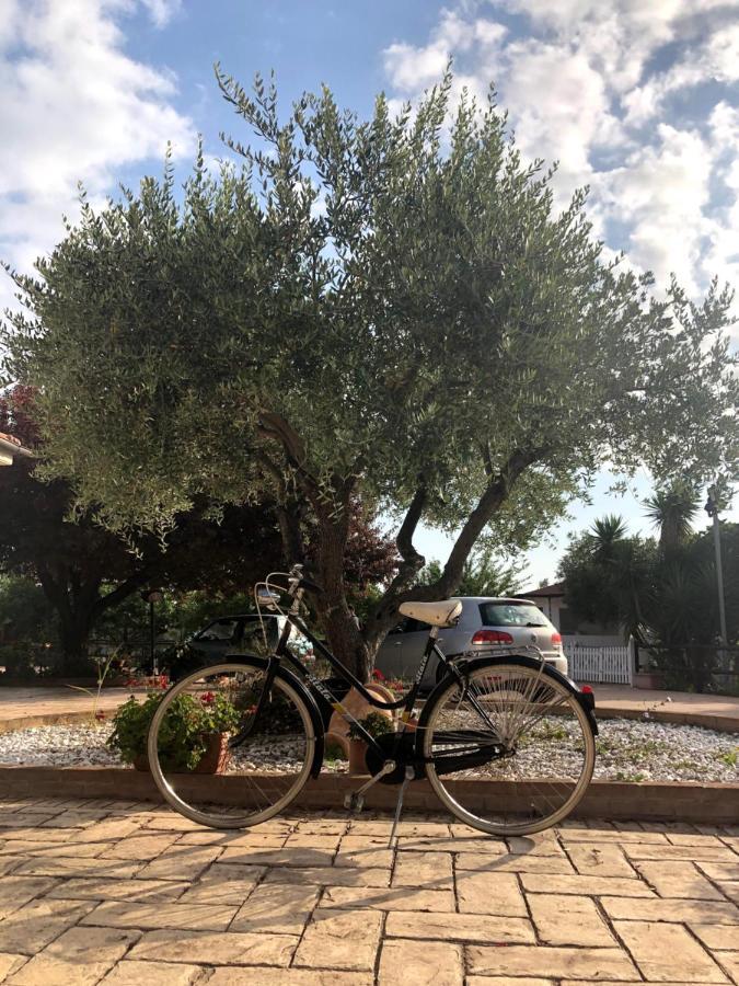 אורטונה B&B Villa Eden מראה חיצוני תמונה